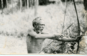 Mullakurumba jagend AMS