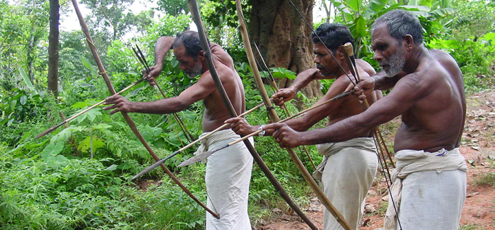 Mullakurumba jagend Foto AMS