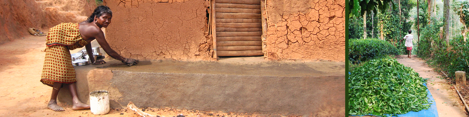 Adivasi-Haus.gif